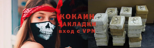 молекула духа Переславль-Залесский