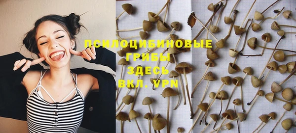 молекула духа Переславль-Залесский