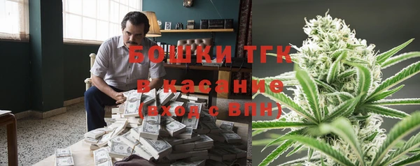 молекула духа Переславль-Залесский