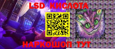 спайс Гагарин
