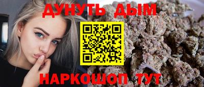 трава Гатчина