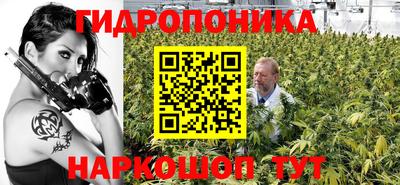 спайс Гагарин