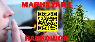 трава Гатчина