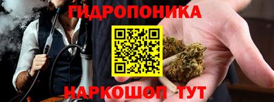 трава Гатчина