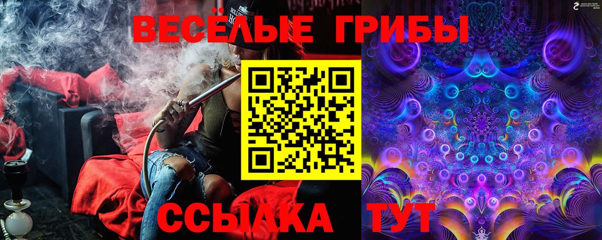 Полысаево  Псилоцибиновые грибы Cubensis  Вход с VPN 