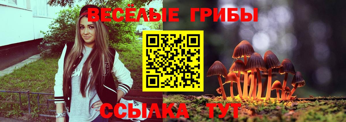 ГАШИШ  Полысаево  MDMA  Вход с VPN  Марихуана  Мефедрон   Cocaine 